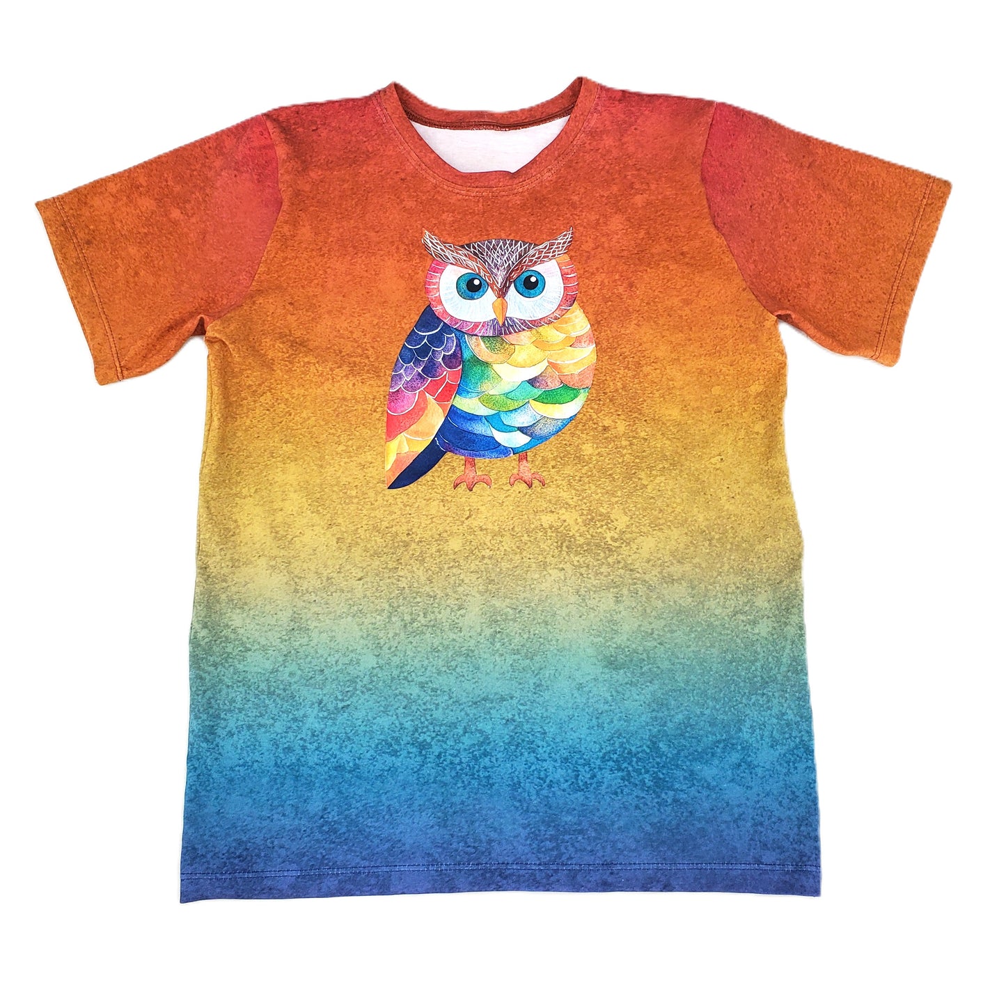 Rainbow Owl Tee Shirt for Kids