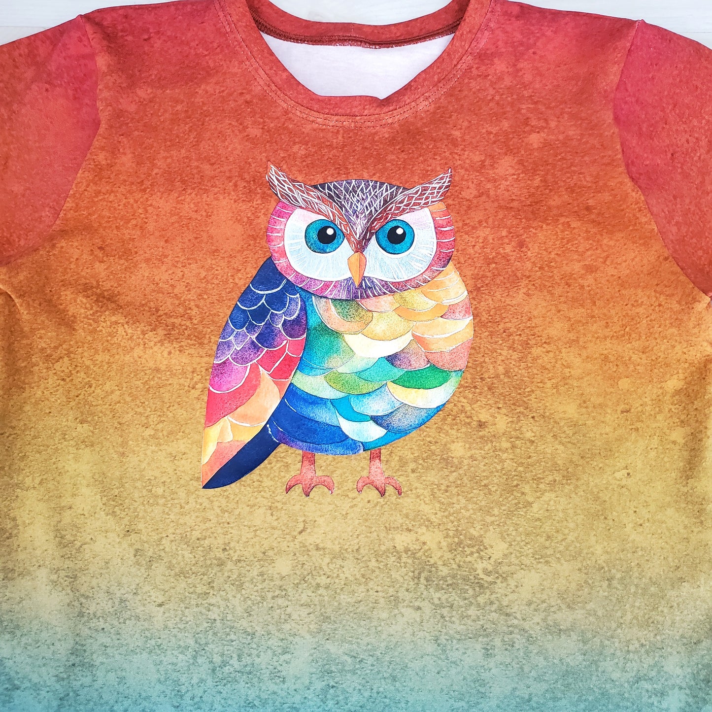 Rainbow Owl Tee Shirt for Kids